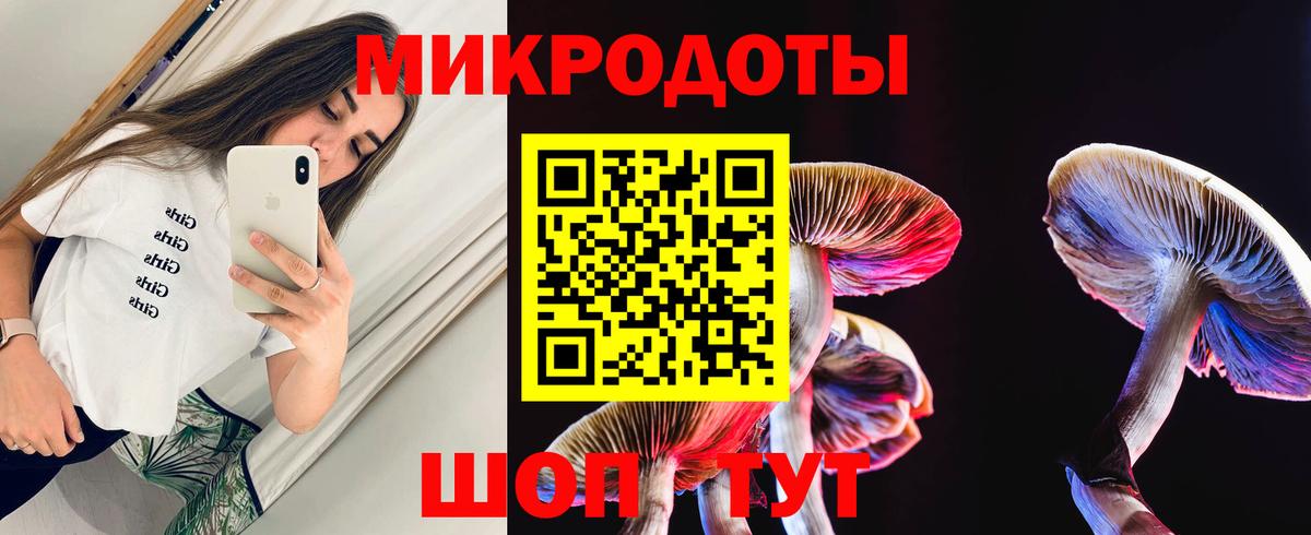 Псилоцибиновые грибы мицелий Россошь